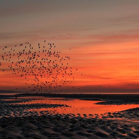 Hoekje Aan Zee Katwijk aan Zee Exteriér fotografie