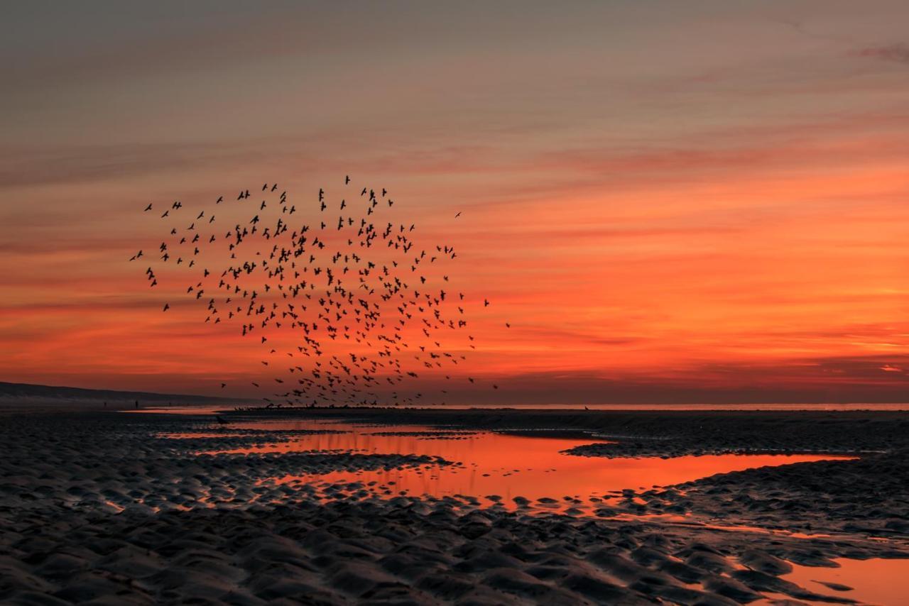 Hoekje Aan Zee Katwijk aan Zee Exteriér fotografie